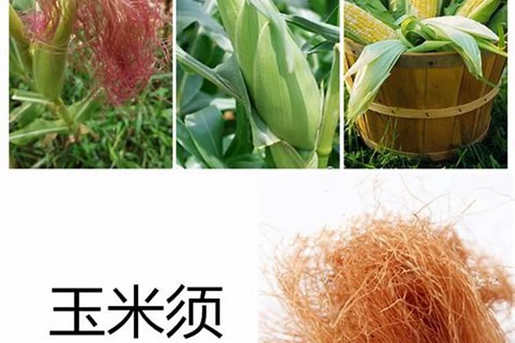 玉米底肥一次性施肥 氮磷钾 各用多少？