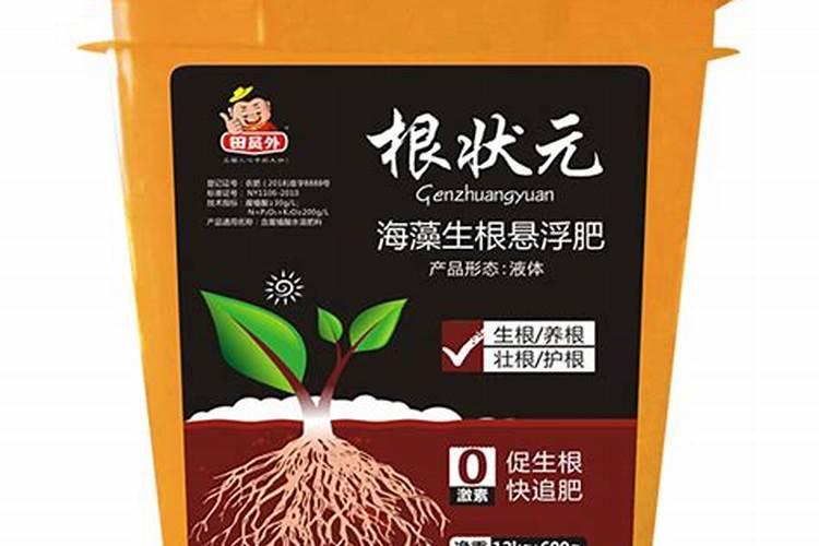 西红柿从下种到定植多少天？