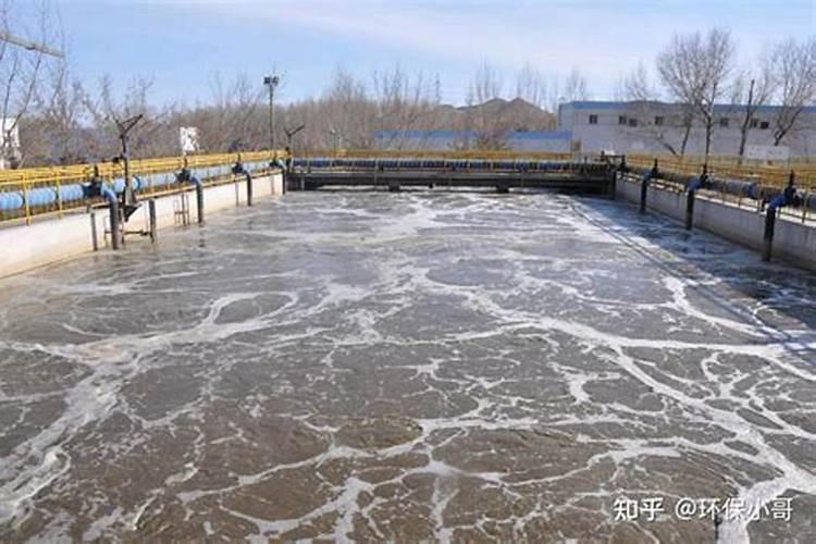 1斤水溶肥兑多少水