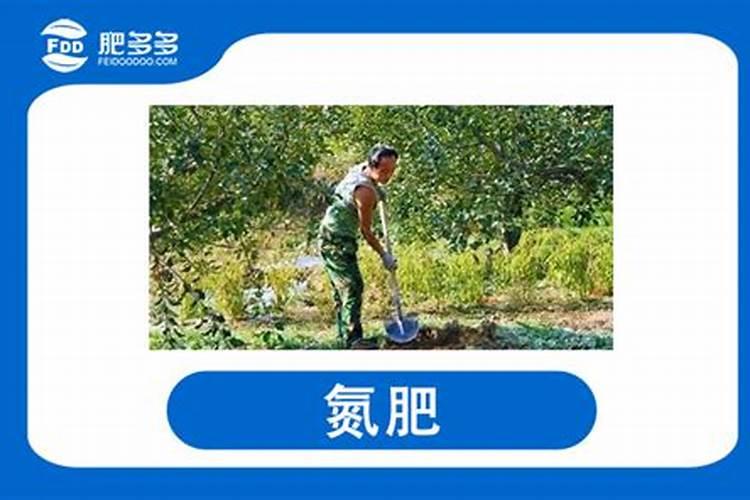 老师帮我看下我这黄桃落果很严重,是什么原因引起的,以上果子是前十几...
