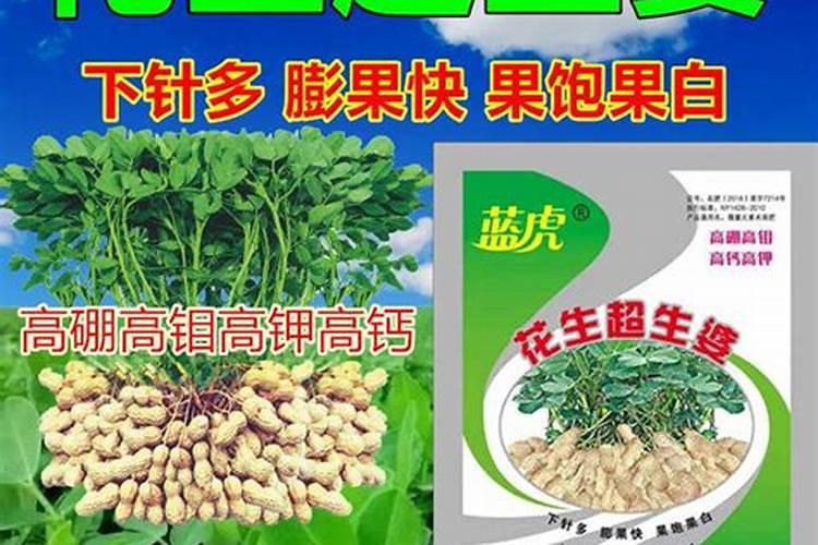 果实膨大期用什么叶面肥