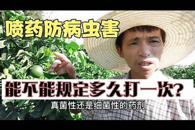 果苗喷了叶面肥多久才能,再喷杀虫杀菌药