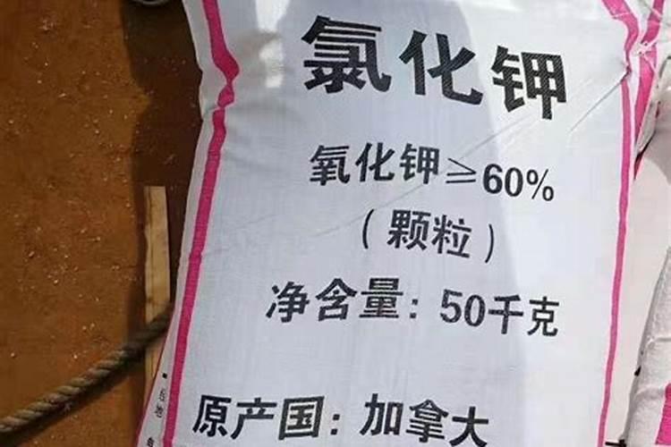 钾肥价格多少钱一吨 如何挑选优质的钾素肥料