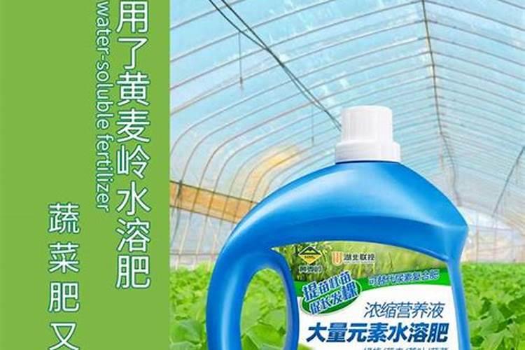 品牌榜:2024年水溶肥料十大品牌排行榜 投票结果公布【新】