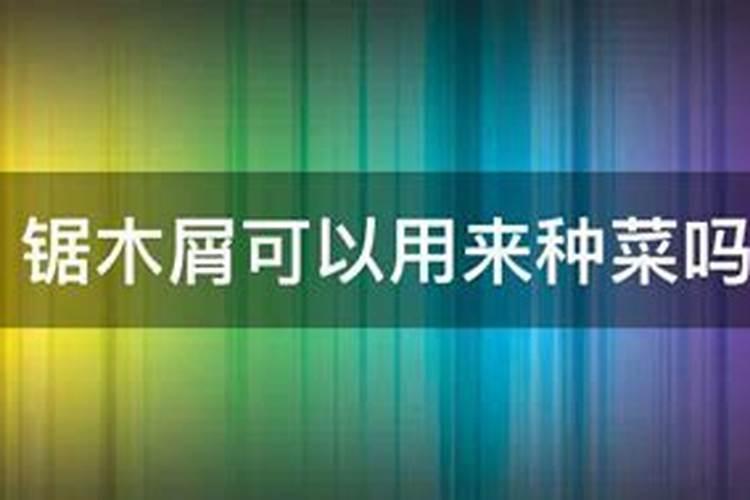 当下,农村办加工厂的好项目, 这几种可年入百万!