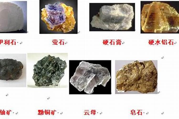 复合肥里的氮元素有几种,那一种对种子更安全。