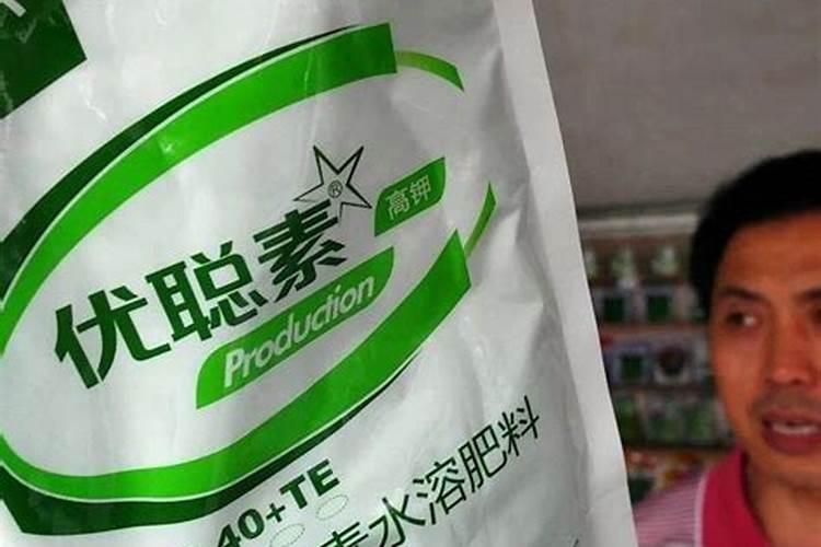 蟹爪兰施什么肥