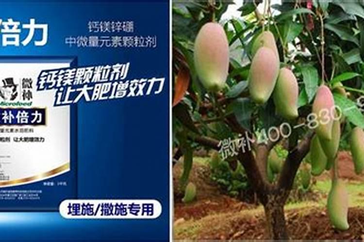 果树缺钙用什么肥料最适合