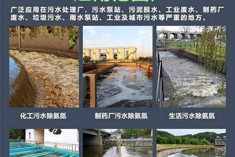 鱼塘氨氮怎样可快速降解