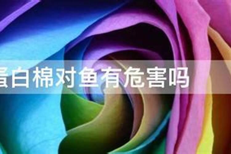 山东都有什么特产