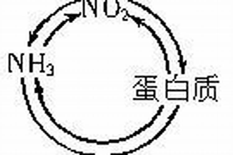 种菠菜什么肥料不能施