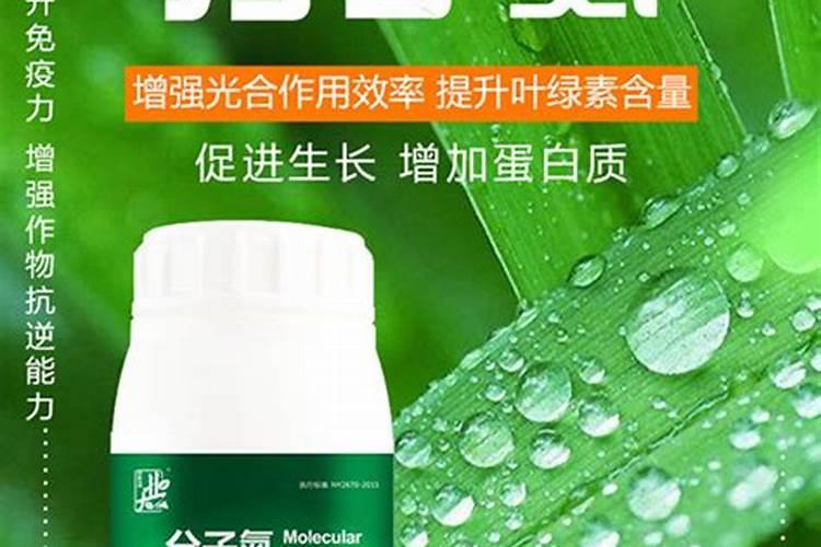 合理的施肥有利于花生生长,花生种植该怎么施肥？