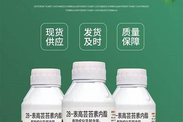 芸苔素可以和农药一块打油菜吗？