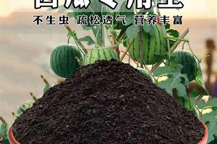 种西瓜用什么肥料