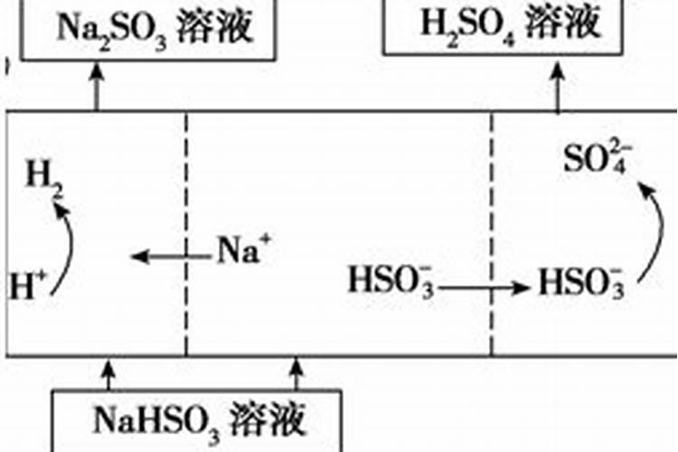 小番茄果实黄头怎么办