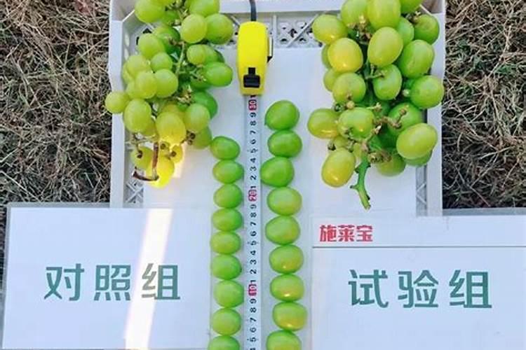 氨基酸钾钙硼可以可什么叶面肥同用