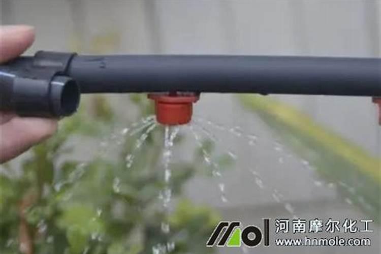 水溶肥的正确使用方法