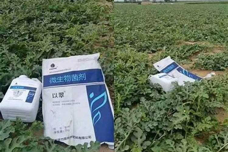 西瓜施什么肥最好