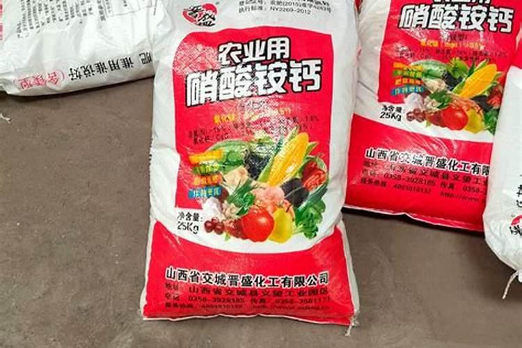 槟榔施什么肥最好