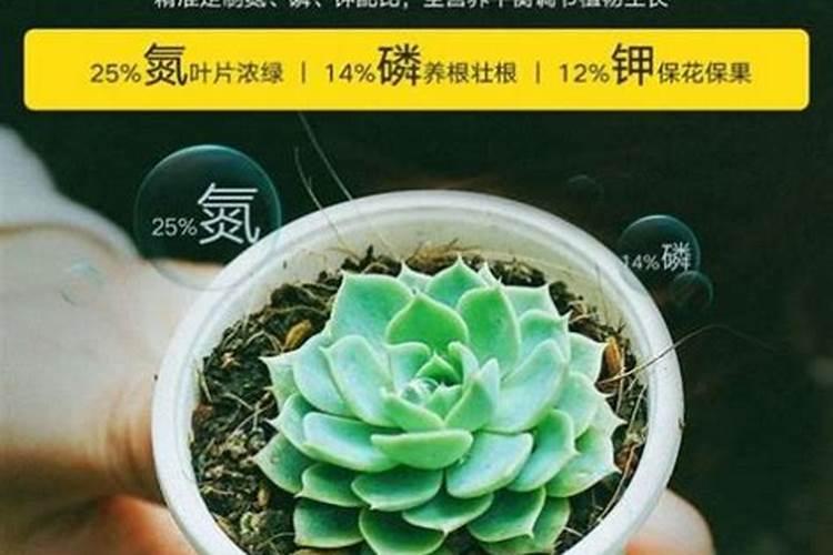 我这样搭根棍子葡萄会爬上去吗？