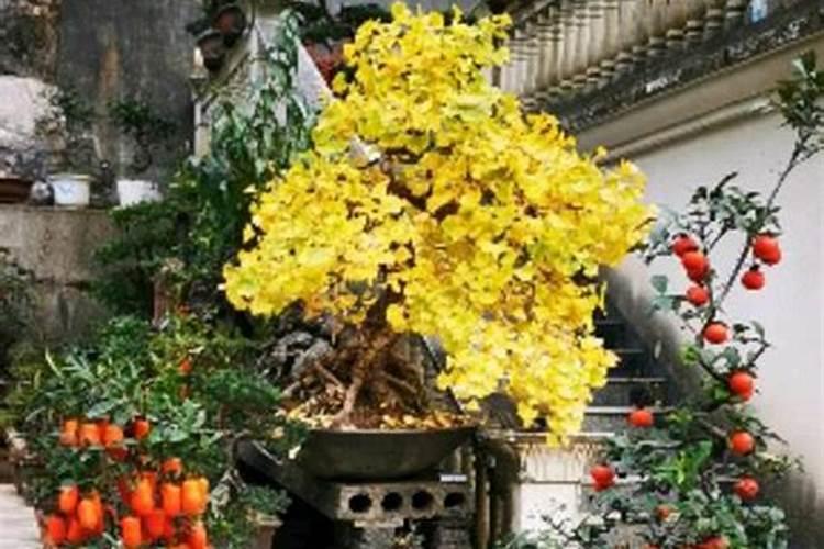 油菜亩产量一般多少斤 种植亩产及利润是多少