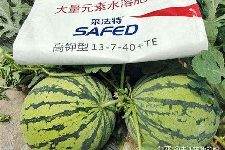 根多多生根水溶肥使用方法