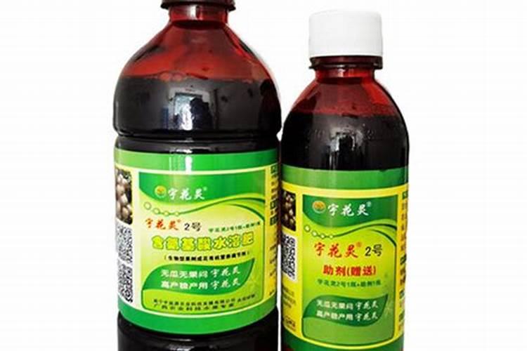 甘蔗是如何种出来的 甘蔗是怎么种出来的
