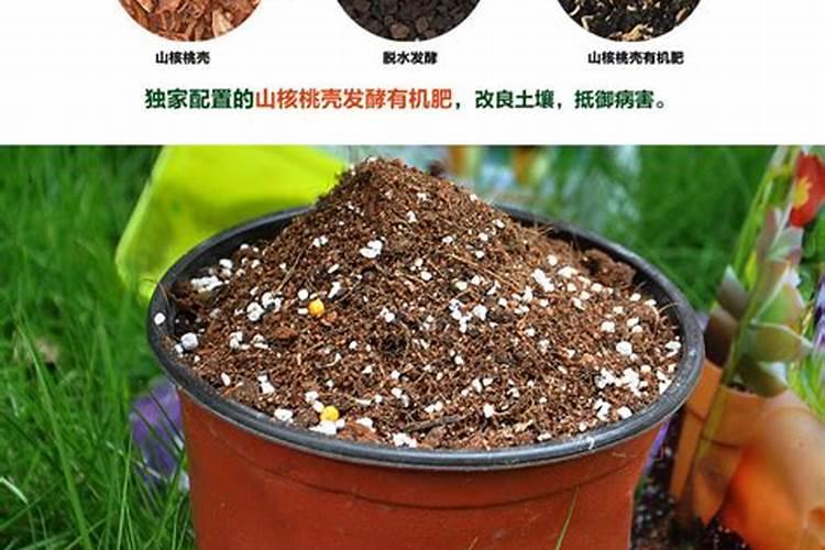 营养土直接栽花可以吗