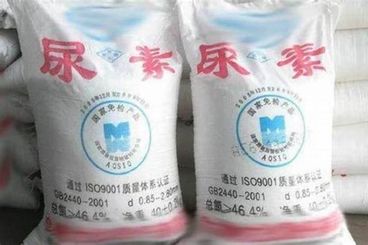 茶树需要上什么肥料
