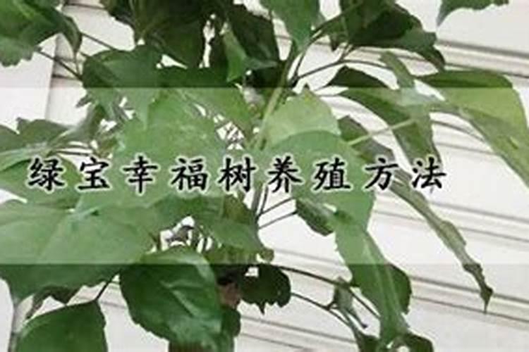 西瓜不甜怎么回事