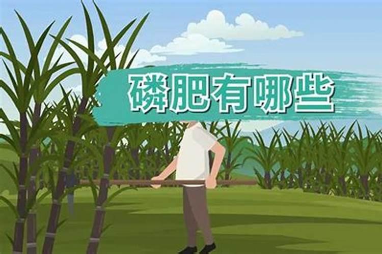 磷酸二铵是什么？磷酸二铵有什么作用