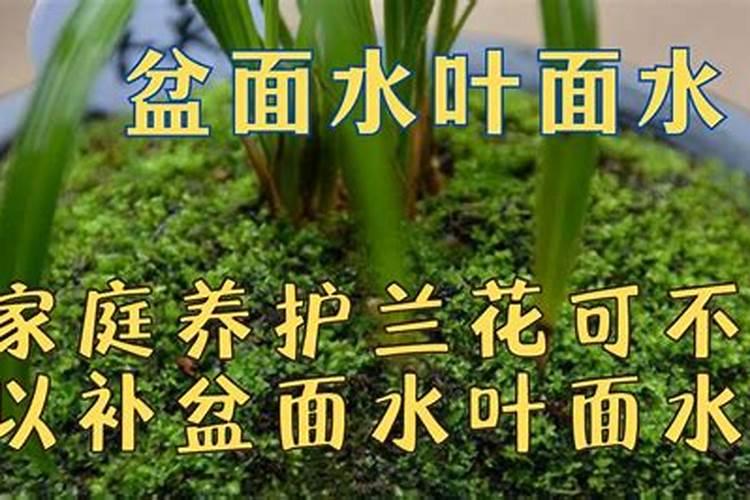 兰花需要磷酸二氢钾吗怎么施肥