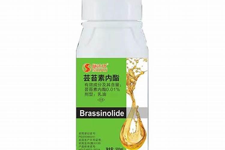 芸苔素内酯的剂型