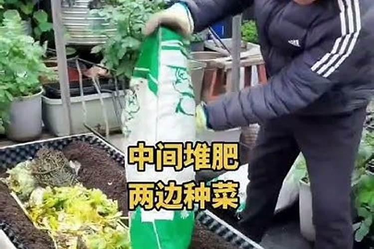 种菜用什么肥最好