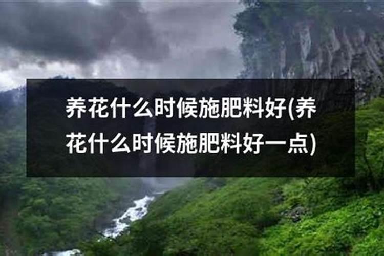盆栽花用什么肥料最好养,养花一般要施什么肥料