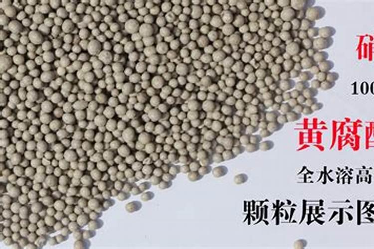 河水为什么会变绿