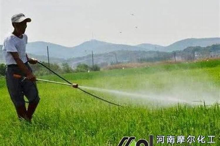 火龙果用什么肥料