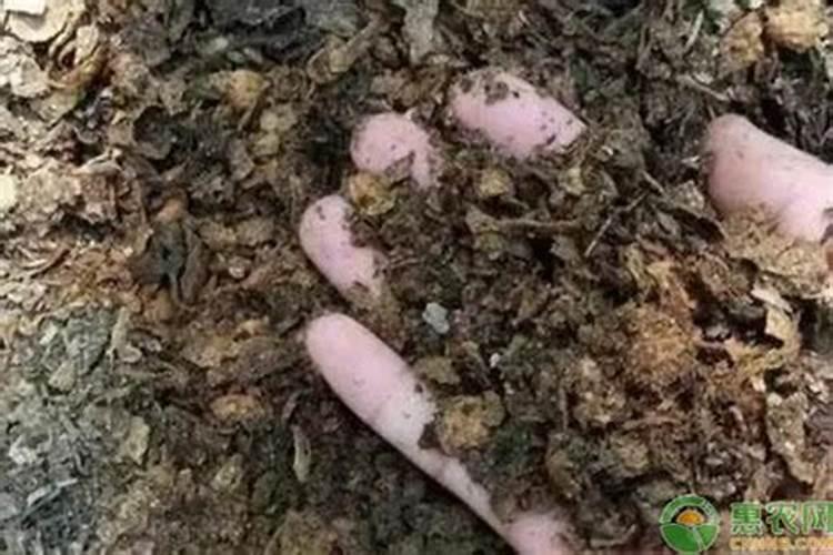 土壤腐殖质由哪三种不同时腐殖质组成？