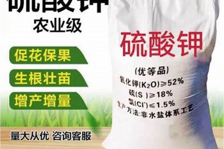 钾肥哪个好