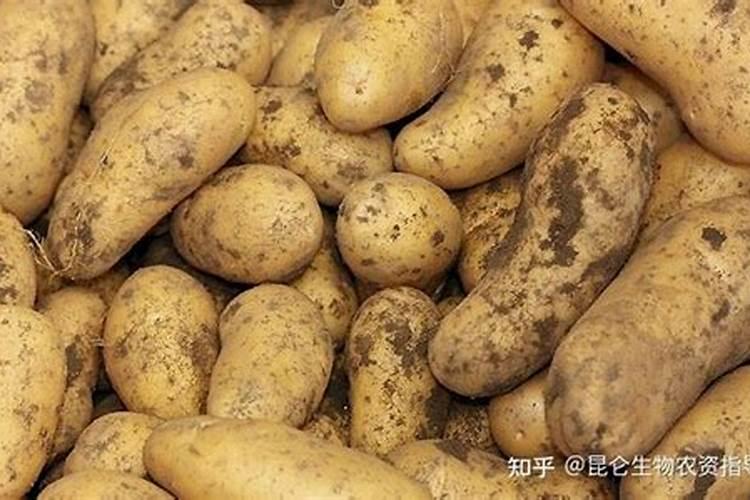 蔬菜打什么药增加叶绿素