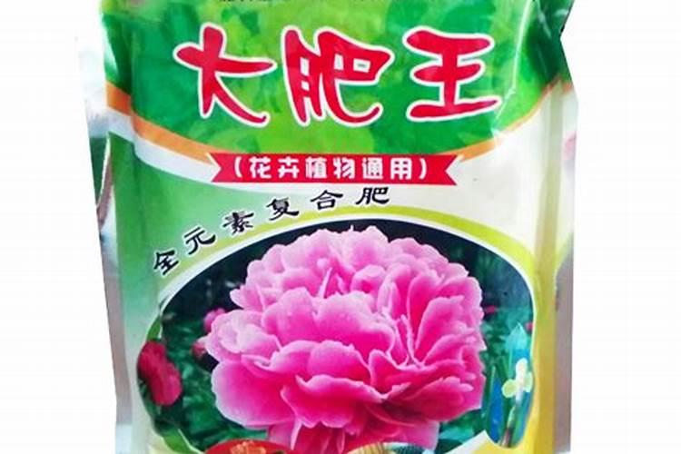 含铁的肥料都有什么