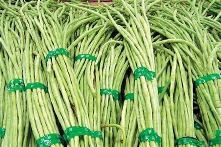 种豆角用什么肥料好