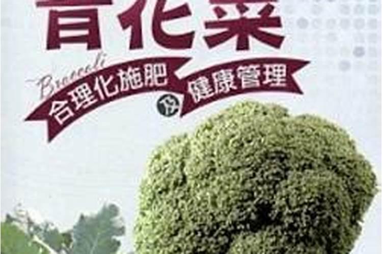 针对新栽茶苗,该如何开展施肥工作