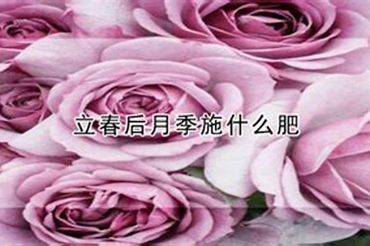 阳光玫瑰葡萄保果和膨大为什么加海藻精？