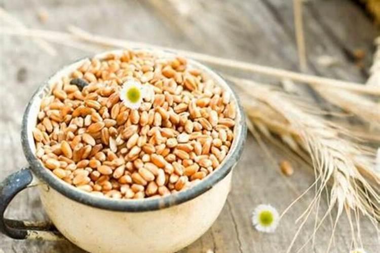 芸苔素能拌麦种吗 芸苔素可不可以拌麦种