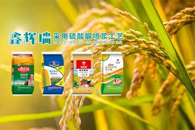 供销社龙头股票有哪些？