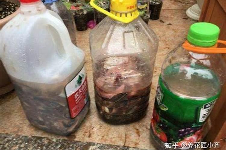 蝴蝶兰应该施什么肥,什么季节施肥好？