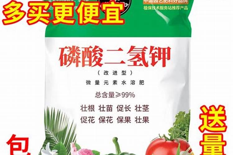 桃树用什么肥料最好