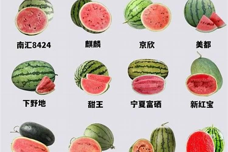 种西瓜用什么肥料最好