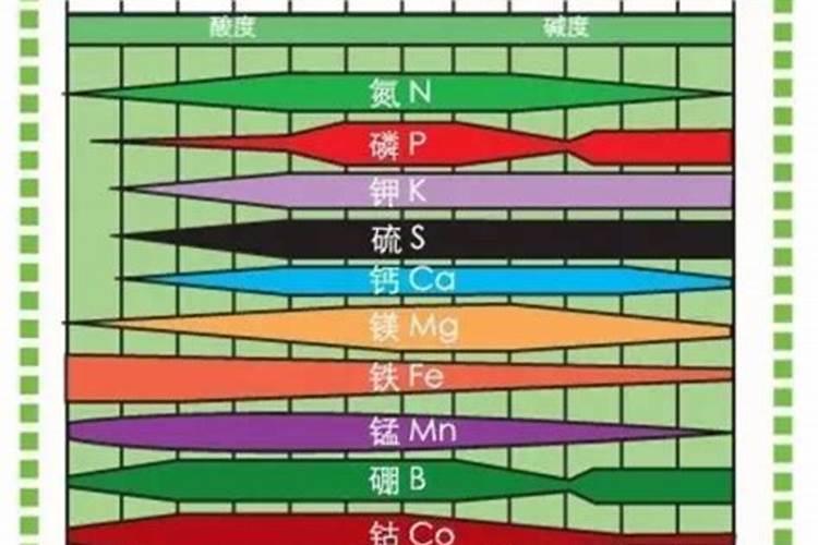 施用微量元素肥料应该注意什么
